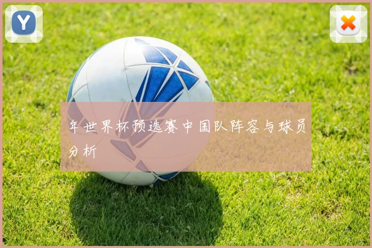 年世界杯预选赛中国队阵容与球员分析