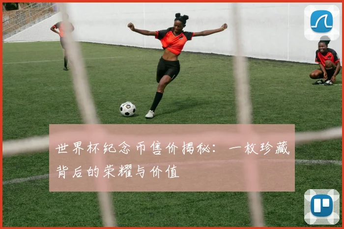 世界杯纪念币售价揭秘：一枚珍藏背后的荣耀与价值