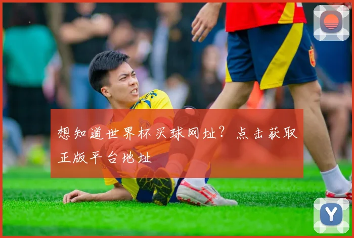 想知道世界杯买球网址？点击获取正版平台地址
